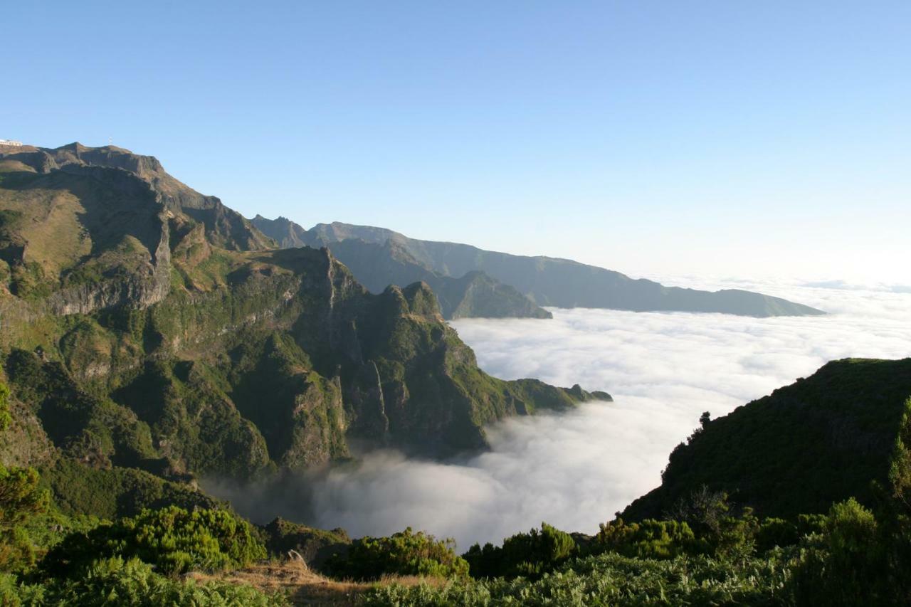 Antonella Home Funchal Zewnętrze zdjęcie